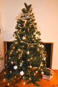 季節のコーディネート~クリスマス編~