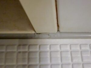 お風呂場のシーリング補修に挑戦!