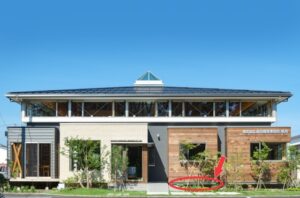 ビオトープを作る