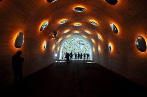 「主役と小さな名脇役」