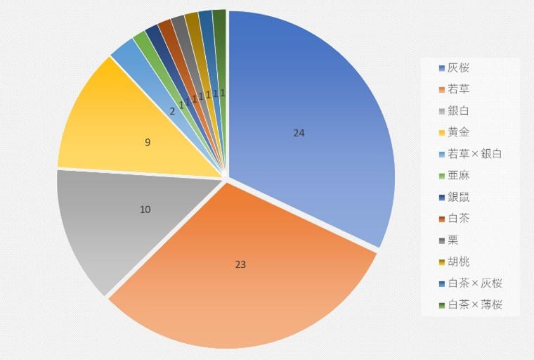 和紙畳人気カラーランキング
