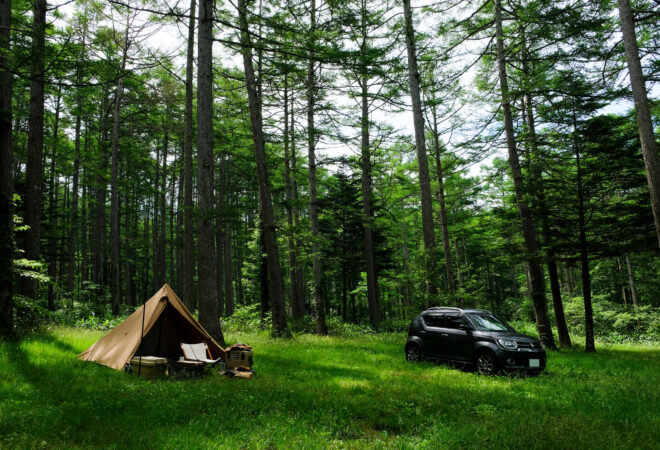 自然 → 空間価値 → 住まい