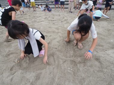 2024新潟築縁会レポート㏌藤塚浜