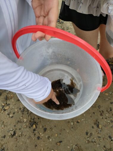 2024新潟築縁会レポート㏌藤塚浜