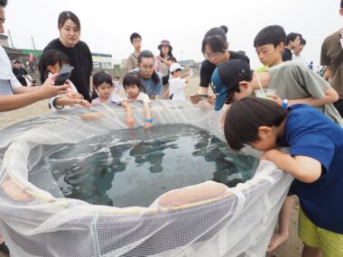 2024新潟築縁会レポート㏌藤塚浜