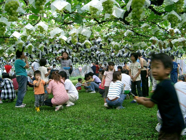 高田建築事務所のお施主様との交流イベント