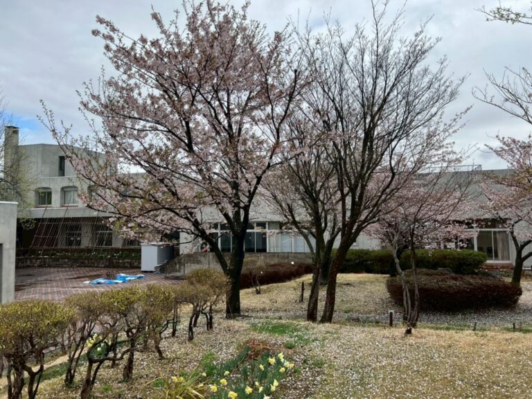 前川國男建築_長岡ロングライフセンター