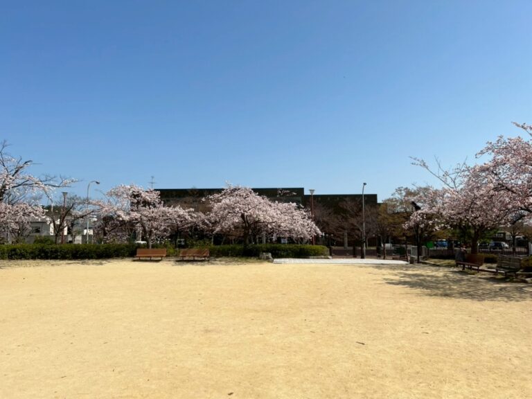 前川國男建築_新潟市美術館