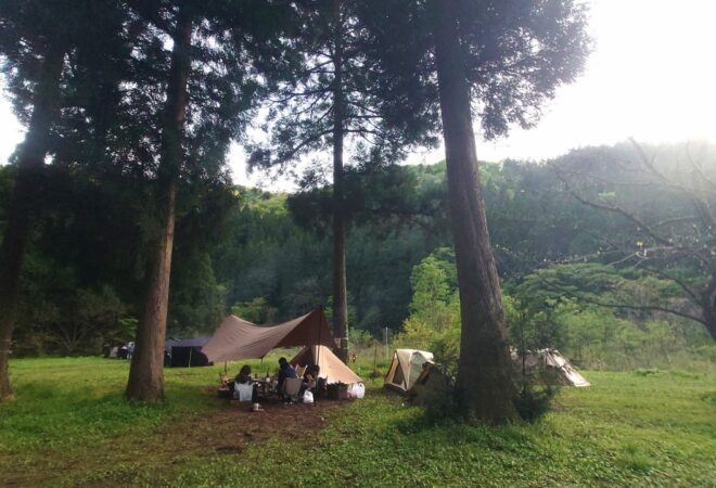 シロアリの時期です