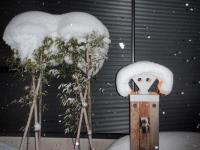 竹君達と雪帽子較べ