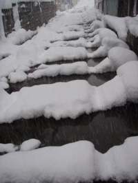 摂田屋の兵馬俑