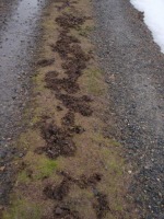 農耕機のキャタピラー後と協奏?